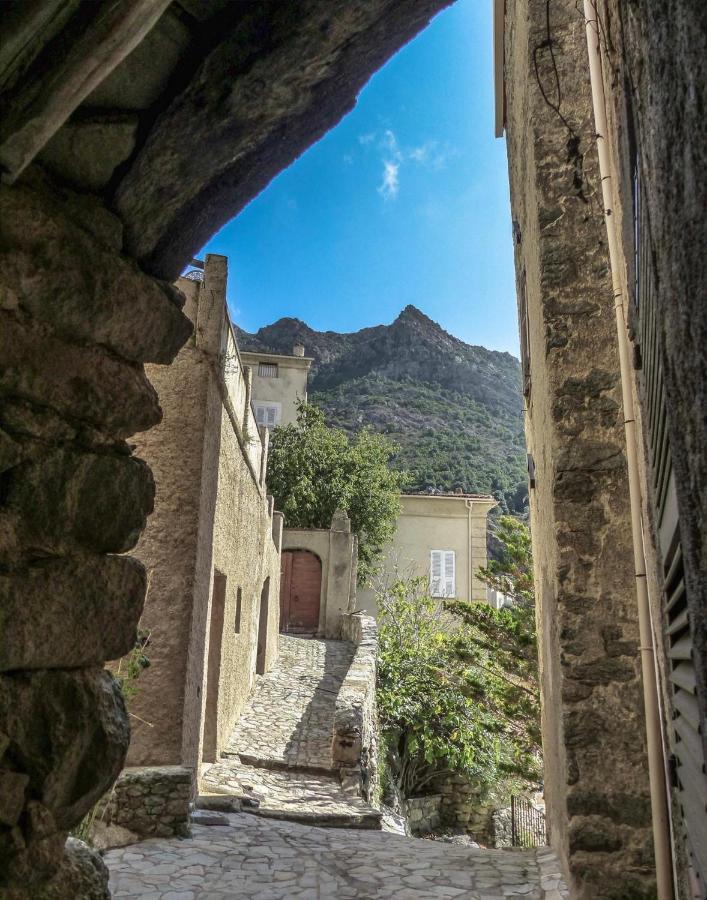 Campu Latinu Lama Exterior foto